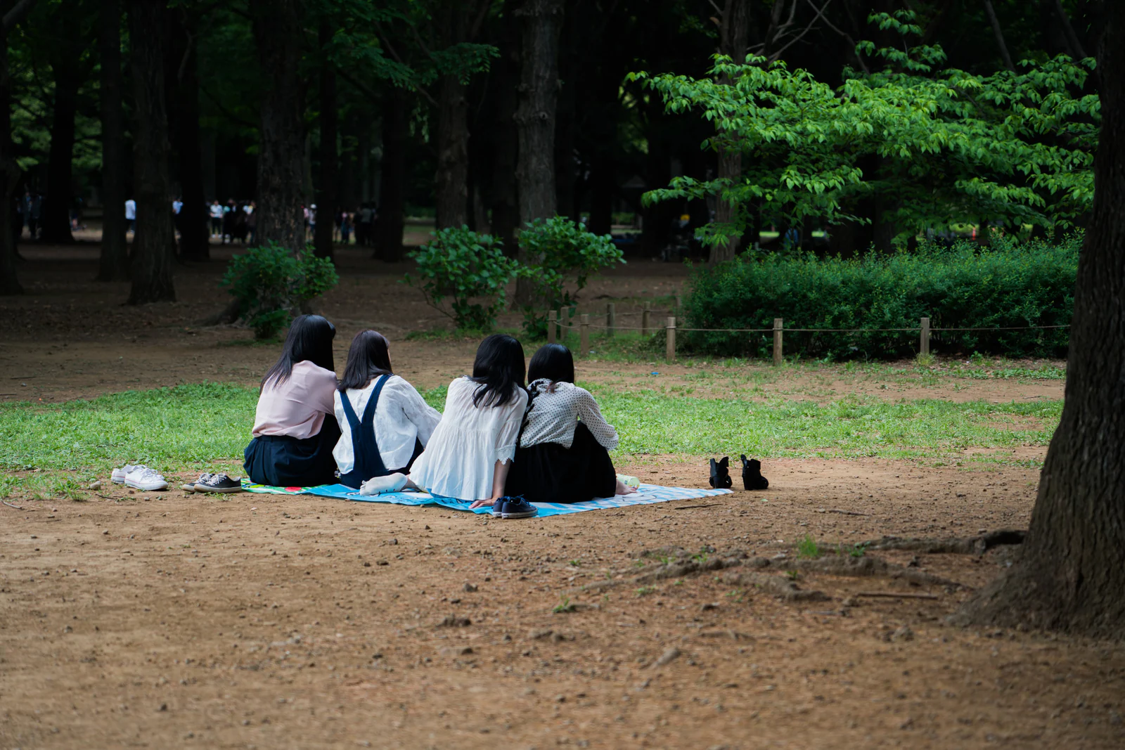 DSC09096.jpg