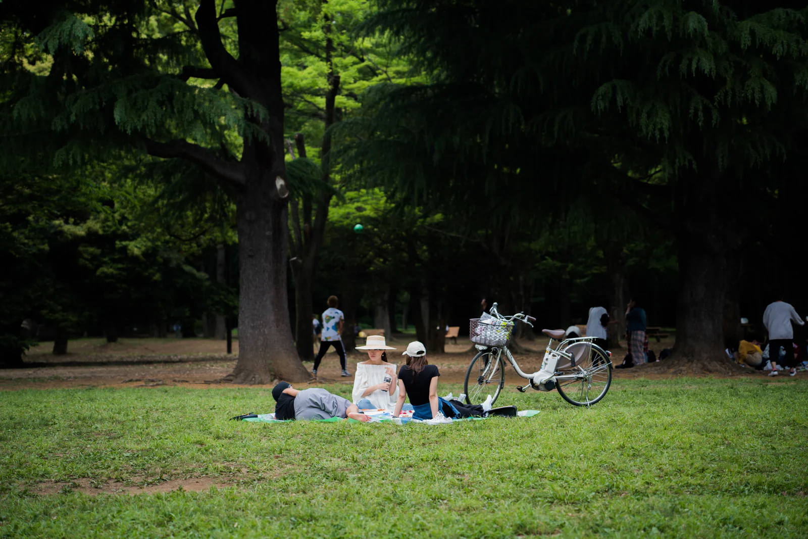 DSC09106.jpg