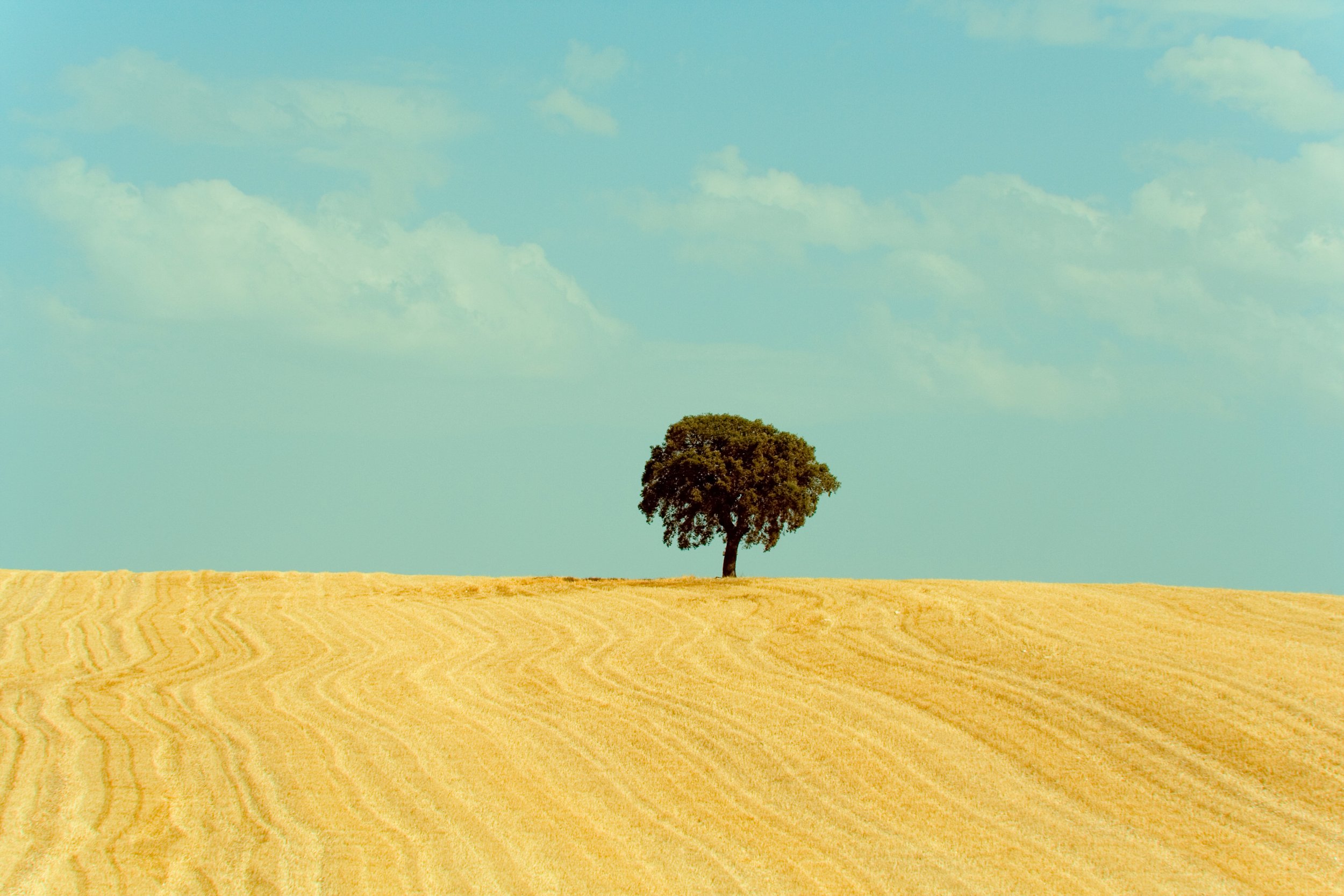 from_flickr_468.jpg